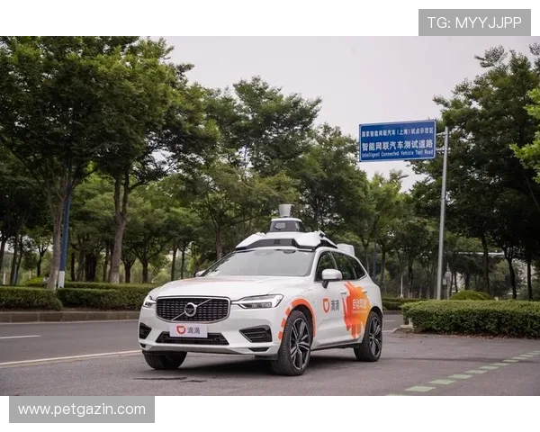 欧博官网代理登录常见问题及解决方案，确保顺畅使用体验