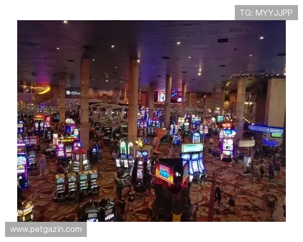 洛杉矶赌场的最新娱乐项目介绍与玩法攻略